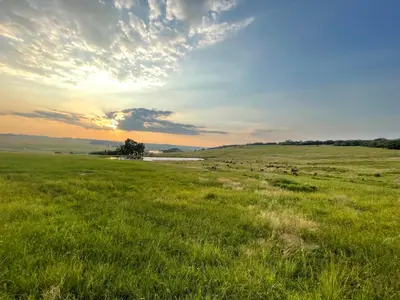 a field of green grass with the sunset in the background at Holbank River Lodge in Ermelo
