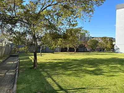 a tree in the middle of a grass field at The Classic Menlyn Maine Apartment in Pretoria