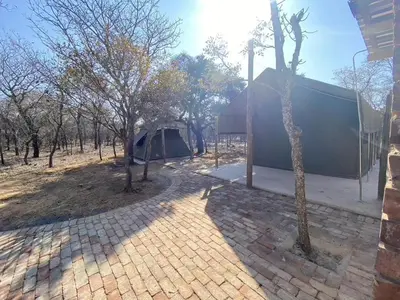 a group of trees and a tent in a field at Vlakkieskraal Farmstay - Nyala Tented Camp in Bela-Bela