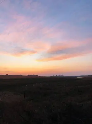 a sunset in the middle of a field at Cipresso Guesthouse in Tierpoort