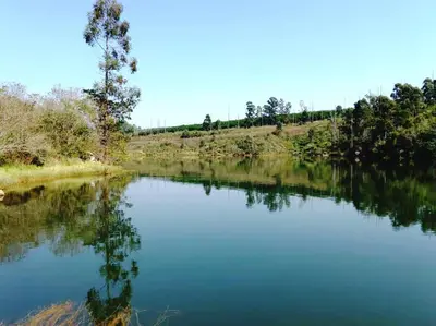 a large body of water with trees in the background at Bee-Eater Cottage, DaGama Dam in White River