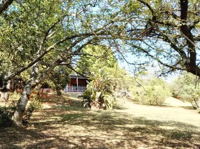 a house in the middle of a yard with trees at Bee-Eater Cottage, DaGama Dam in White River