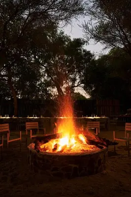 a fire pit in the middle of a park at Letamo at Qwabi Private Game Reserve by NEWMARK in Bela-Bela