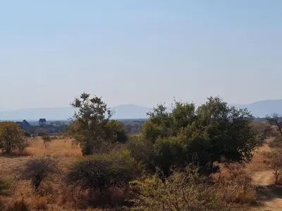 a field with trees and bushes in a field at Moshate Lodge Zebula 4 Bedroom Holiday home in Mabula