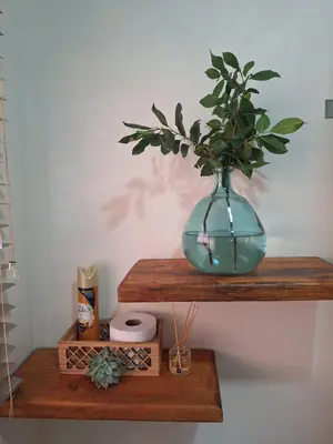 a blue vase sitting on a wooden shelf with a plant at Fraai Maraai Self Catering Apartments in Groblersdal