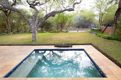 a swimming pool in the middle of a yard at Braai Safaris Lodge in Hoedspruit