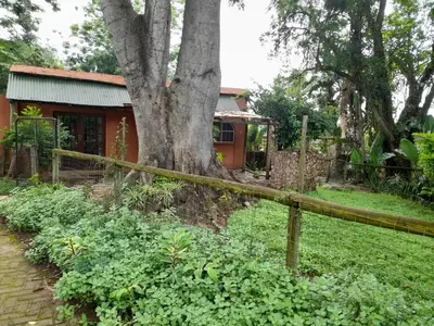a tree in front of a house with a fence at Hawkshead Lodge in Alkmaar