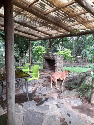 a dog standing in front of a stone fireplace at Hawkshead Lodge in Alkmaar