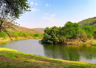 a river with trees on the side of it at Olifants River Lodge by Dream Resorts in Middelburg