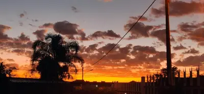 a palm tree in front of a sunset at Birch stay in Kempton Park