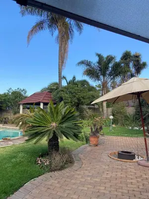 a patio with a palm tree and an umbrella at Birch stay in Kempton Park