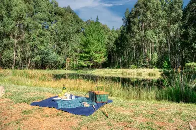 a picnic table in a field next to a lake at Trout Escape Farm in Dullstroom