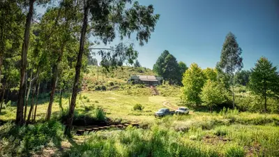 a couple of cars parked in a field with trees at Trout Escape Farm in Dullstroom