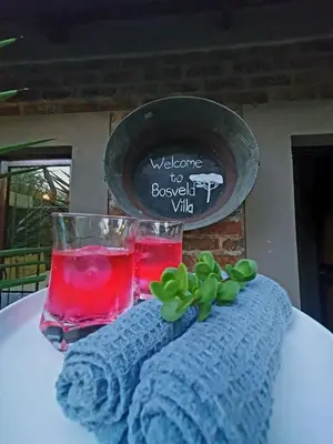 a plate with a drink and a plant on a table at Bosveld Villa in Marloth Park
