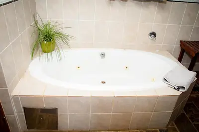 a bath tub with a potted plant on top of it at Koraalboom at Benlize in Hartbeespoort