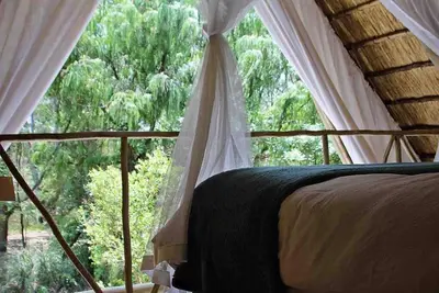 a bedroom with a canopy bed with a large window at Hot Spring bungalow in Limpopo in Gemsbokfontein