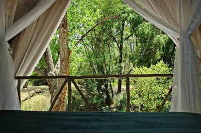 a room with a window with a view of a forest at Hot Spring bungalow in Limpopo in Gemsbokfontein