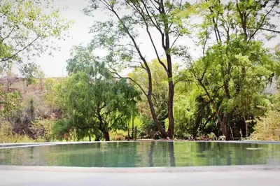 a pool of water with trees in the background at Hot Spring bungalow in Limpopo in Gemsbokfontein