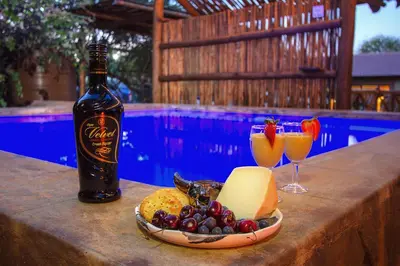 a bottle of wine and a plate of cheese and wine glasses at Kaya KaBush in Marloth Park