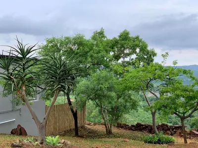 a group of trees in front of a building at Hazyview Accommodation, Bon Repose Cottages 3&4 in Hazyview