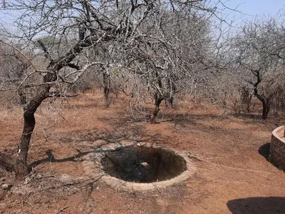 a hole in the ground in a field with a tree at Habibi Holiday Home in Marloth Park
