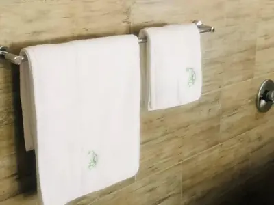 two towels are hanging on a wall in a bathroom at THE BRIDGE BOUTIQUE LODGE in Moletlane