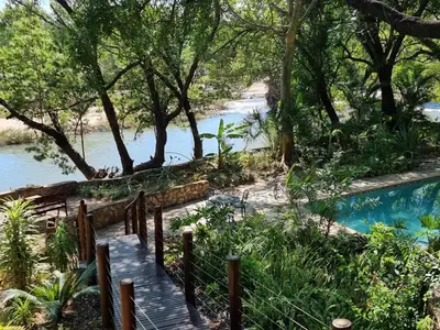 a wooden bridge leading to a river with trees at Paradise River Lodge in Hoedspruit