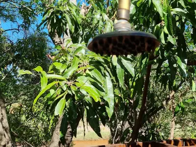 a street light in front of a tree at Paradise River Lodge in Hoedspruit