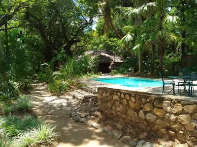 a swimming pool in a yard with a stone wall at Paradise River Lodge in Hoedspruit