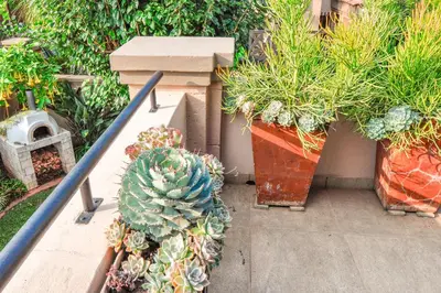 a group of potted plants in a garden at Villa Toledo - Luxurious Mediterranean styled home in Pretoria