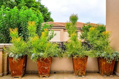 a row of plants in rusty pots on a wall at Villa Toledo - Luxurious Mediterranean styled home in Pretoria