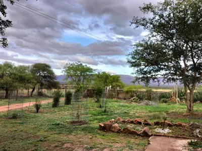 a field with trees and a pile of logs at BLESSINGS Sleep Over in Mokopane