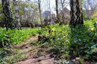 a path through a park with flowers and trees at Dullies Cottage in Dullstroom