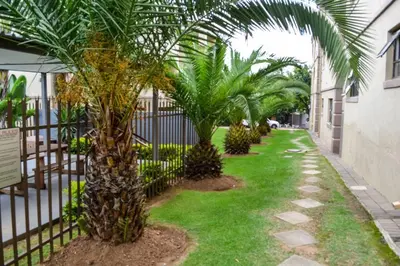 a fence with palm trees next to a sidewalk at Peaceful gateaway - 2 bed apartment in Sunninghill with back-up power in Sandton