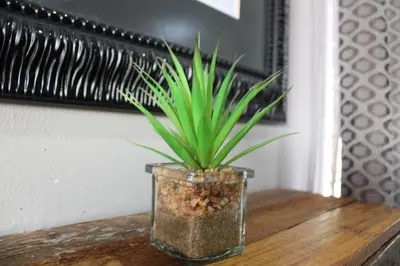 a plant in a glass vase on a table at The Villa 442 in Pretoria