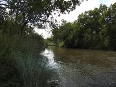 a river with some trees and water and some trees at Oryx Wilderness Game Lodge and Tented Camp in Rhenosterfontein