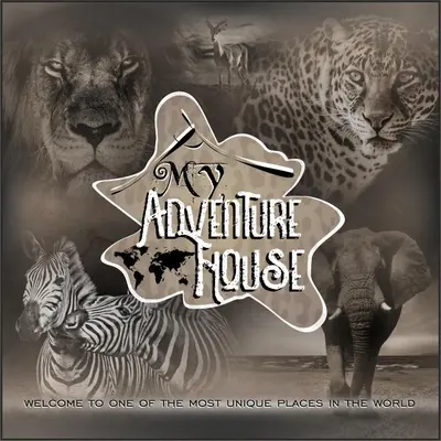 a group of zebras and a leopard and an elephant at Adventure Bush House II in Marloth Park