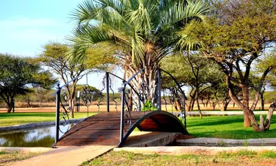 a wooden bridge over a river with a palm tree at Bradbury Game Lodge and Function Venue in Polokwane