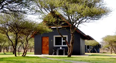 a blue house with a thatched roof at Bradbury Game Lodge and Function Venue in Polokwane