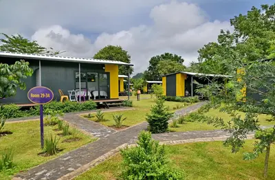 a house in the middle of a garden at SleepOver Phabeni in Hazyview
