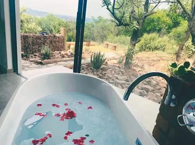 a bath tub filled with blood in front of a window at Rocky Road Mountain Lodge in Pretoria