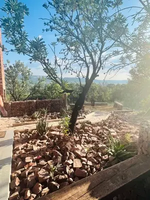 a rock garden with a tree in the middle at Rocky Road Mountain Lodge in Pretoria