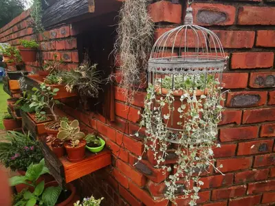 a bird cage with plants in it next to a brick wall at Cozy Manor Guestrooms in Lyttelton