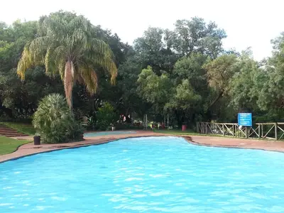 a large pool with a palm tree in a park at On Golden Pond - Mount Amanzi in Hartbeespoort