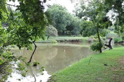 a river in a park with a body of water at On Golden Pond - Mount Amanzi in Hartbeespoort