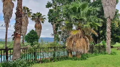 a fence with palm trees in a yard at KatiKati Eco Lodge in White River