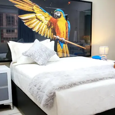 Jose Guesthouse