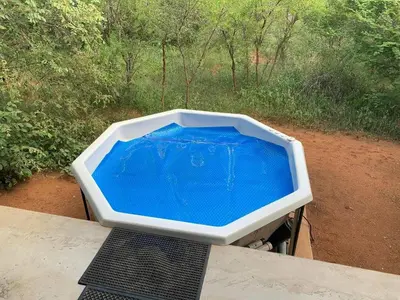 a pool of blue water sitting on top of a table at African Olive in Hoedspruit