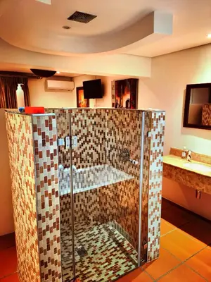 a bathroom with a shower with a glass door at Lipizzaner Lodge - Kyalami, Midrand in Kyalami