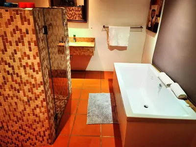 a bathroom with a shower and a tub and a sink at Lipizzaner Lodge - Kyalami, Midrand in Kyalami